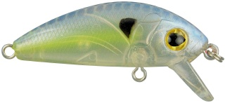 0001_Spro_PowerCatcher_Wee_Shad_45_[Spooky_Shad].jpg